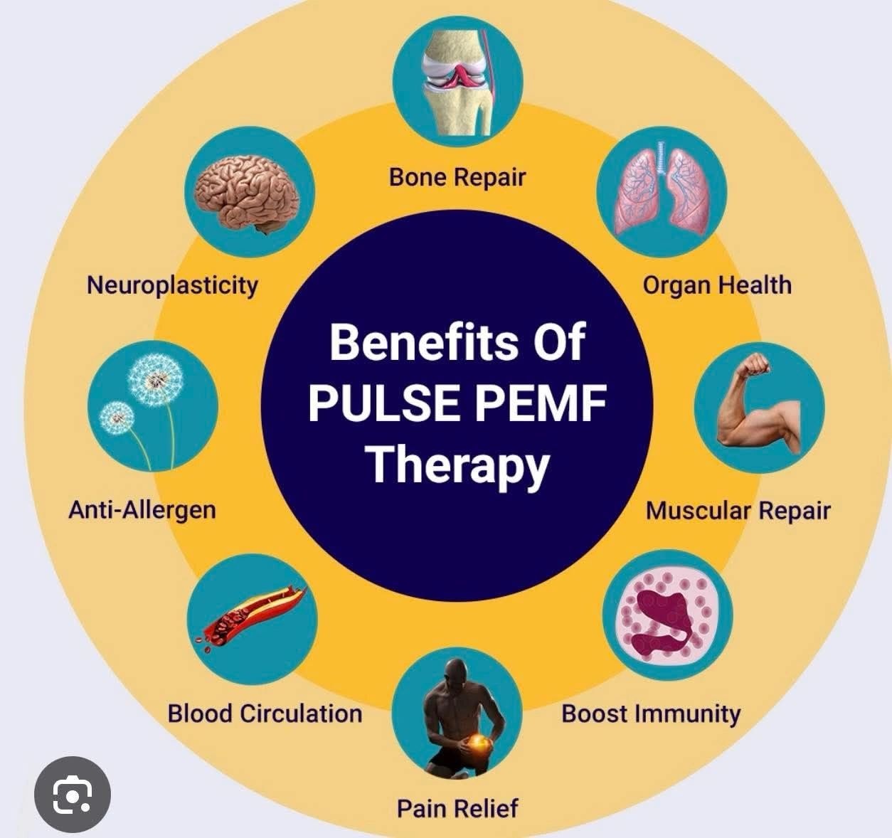 Benefits of PULSE PEMF Therapy — infographic showing bone repair, organ health, muscular repair, boost immunity, pain relief, blood circulation, anti-allergen, and neuroplasticity